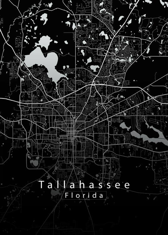 Juliste Tallahassee Florida City Map black