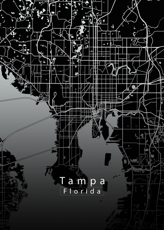 Juliste Tampa Florida City Map black