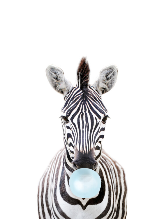 Plakát Bubble gum Zebra