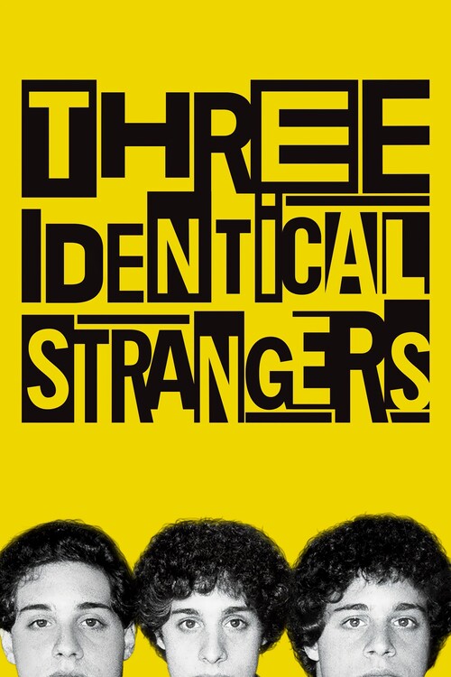 Tableau sur toile Three Identical Strangers (2018)