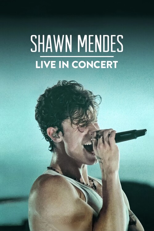 Принти на полотні Shawn Mendes Live in Concert (2020)