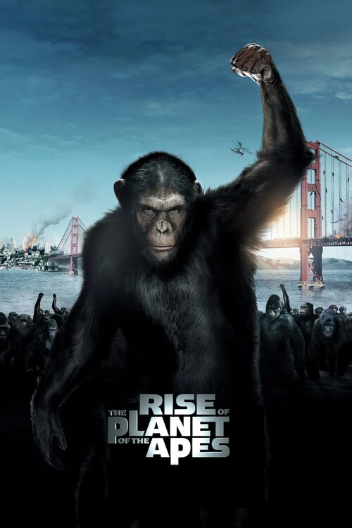 Quadro su tela Rise of the Planet of the Apes (2011)