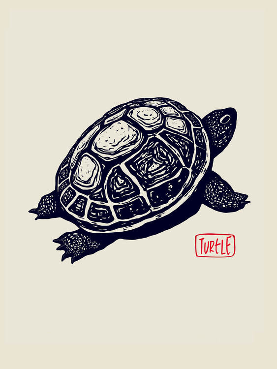 Poster Timeless Turtle