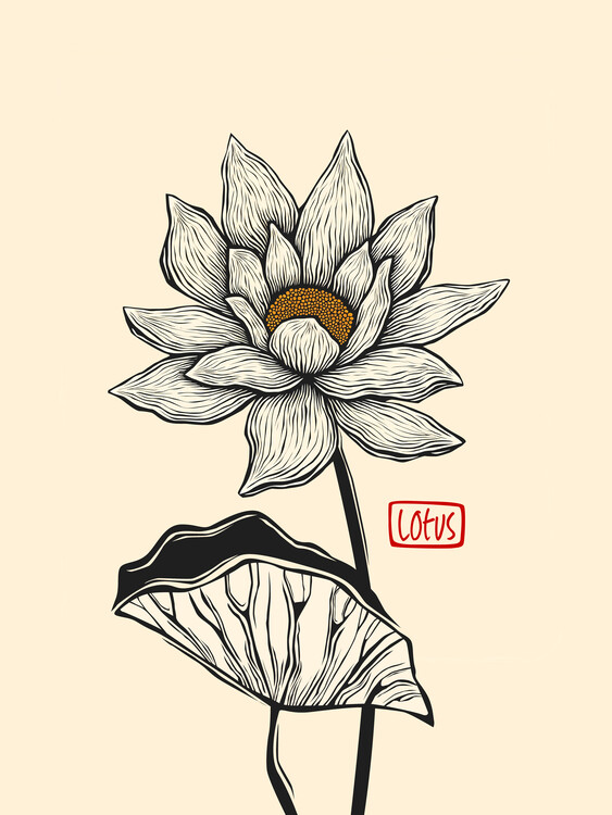 Poster Elegant Lotus