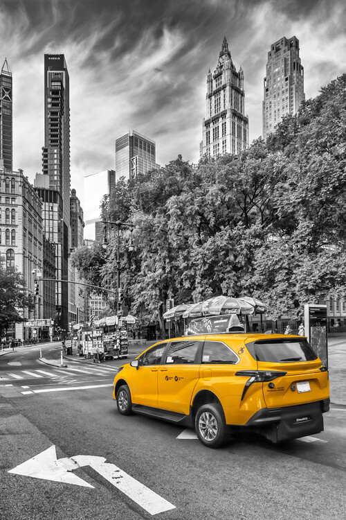 Poster NYC street scene with Woolworth Building