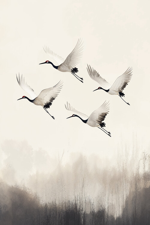 Poster light of Dreams