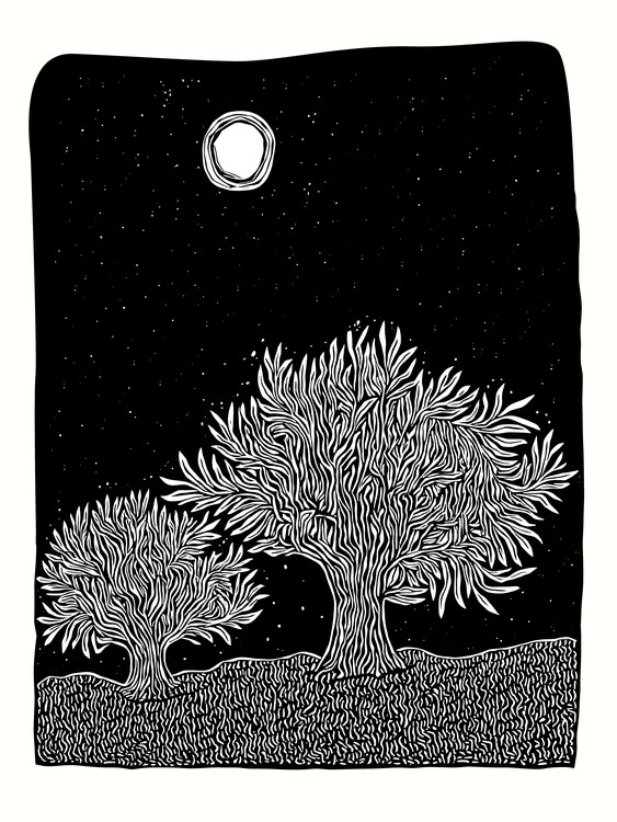 Plagát Moonlight