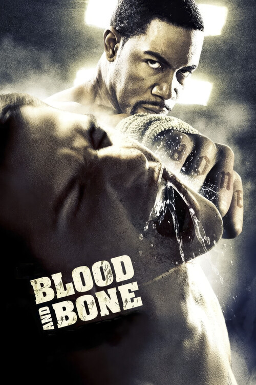 Sticker Blood and Bone (2009)