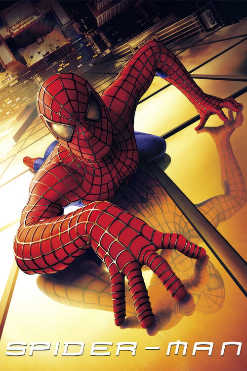 Canvas Print Spider-Man (2002)