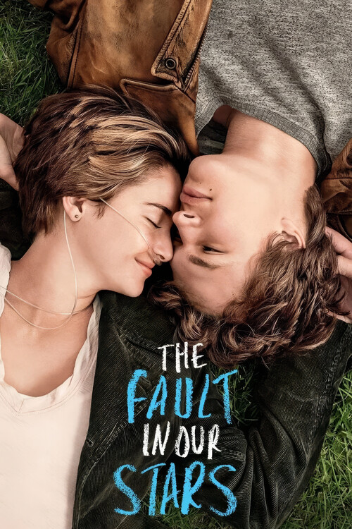 Canvas Print The Fault in Our Stars (2014)