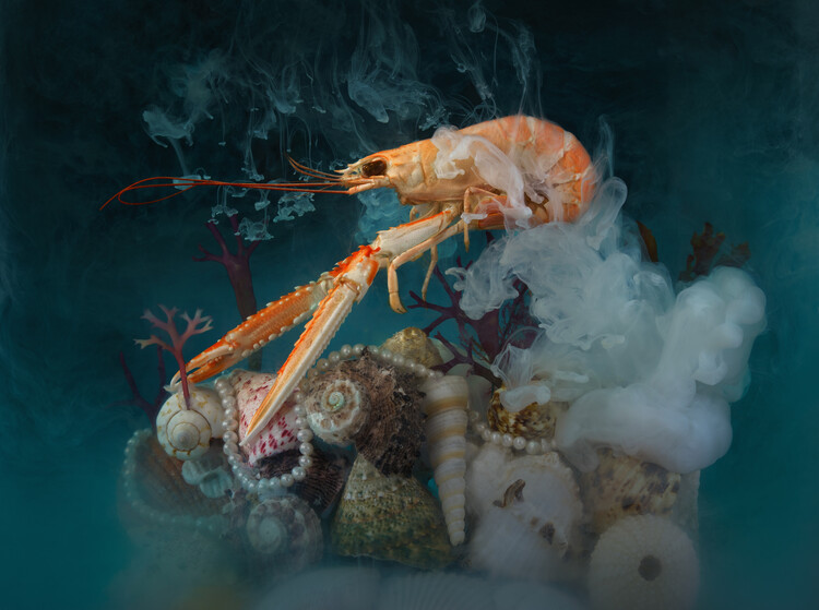 Póster Surreal Langoustine underwater scene with inks