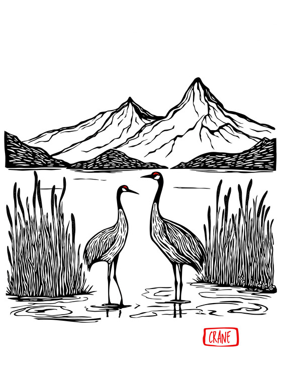 Poster Sandhill Cranes