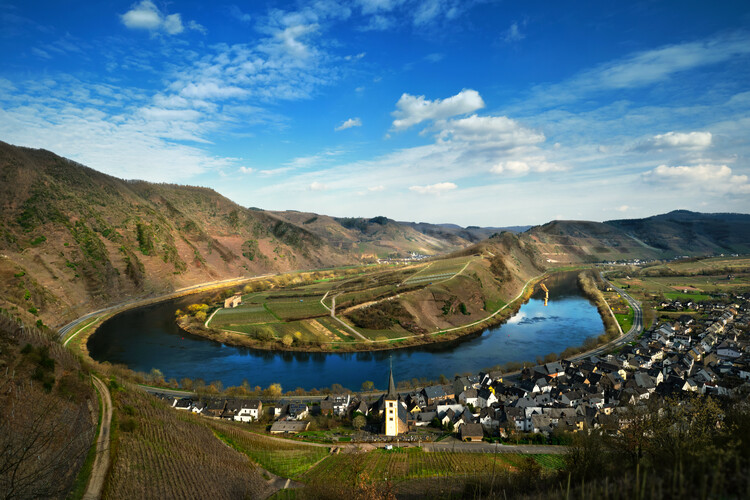 Плакат The moselle near Bremm