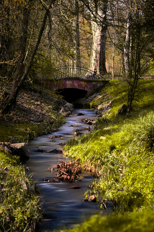 Plagát Small stream with bridge in the park