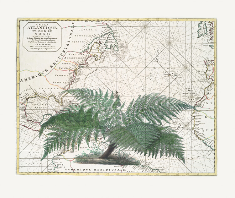 Poster Tropical Empire No4