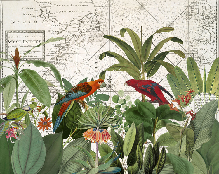 Poster Exotic Wildlife 006