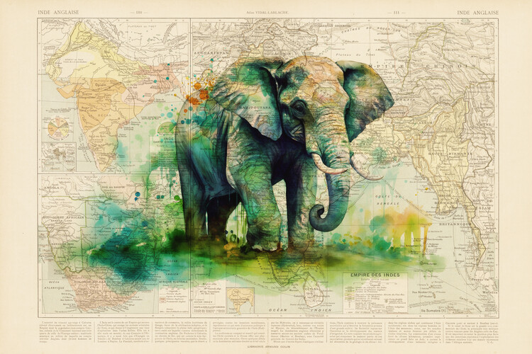Poster Elephant