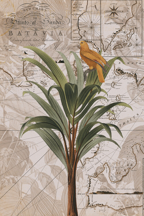 Poster Indonesia Jungle Paradise No2