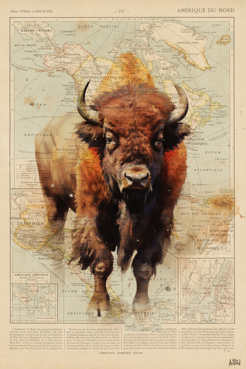 Poster Bison