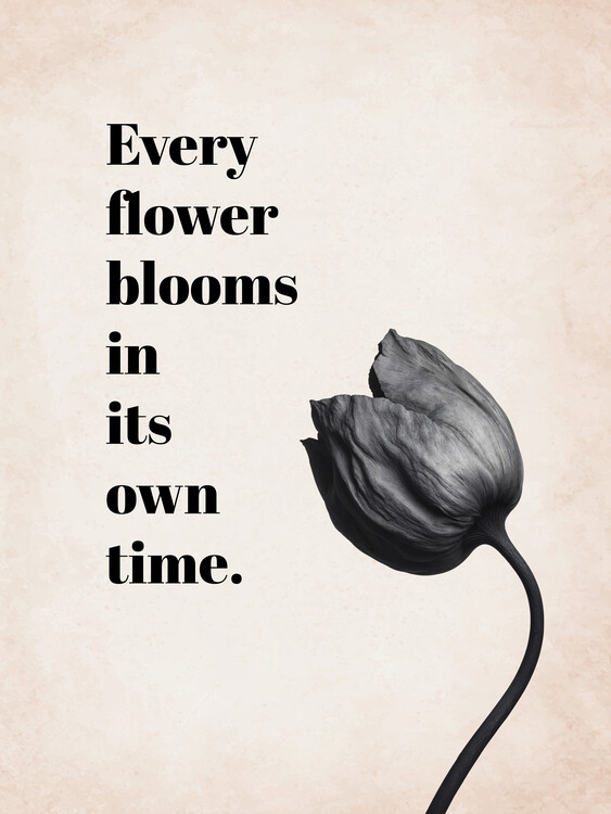 Poster Blooming Flower