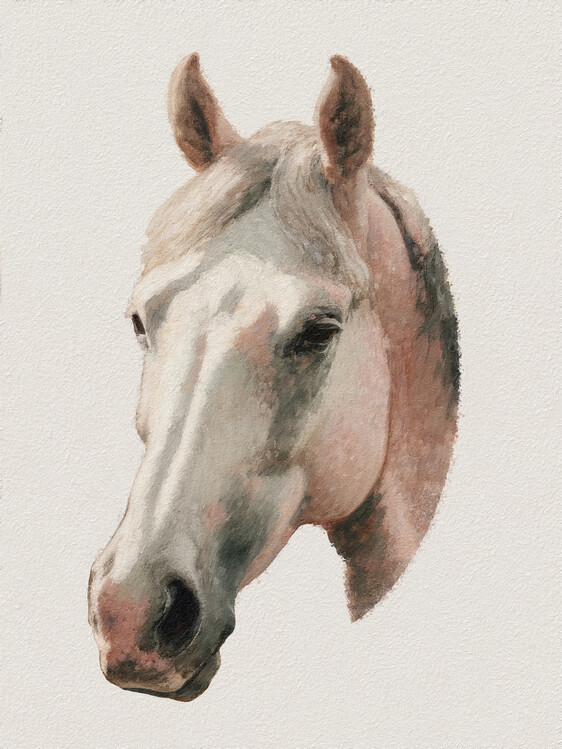 Poster Horse