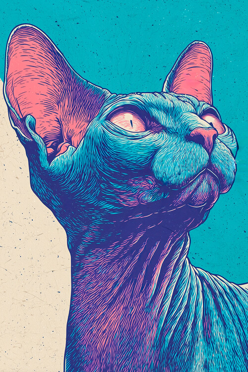 Poster Blue Sphynx Looking Up