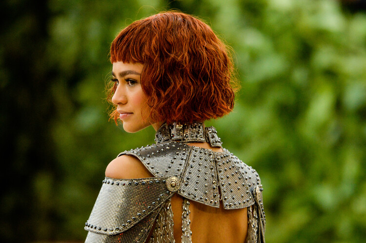 Poster Zendaya Maree Stoermer Coleman