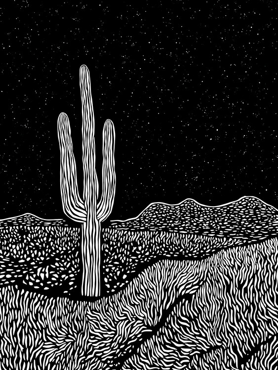 Poster Cactus Night