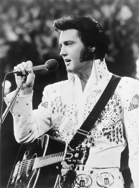 Canvas Print Elvis Presley Performing