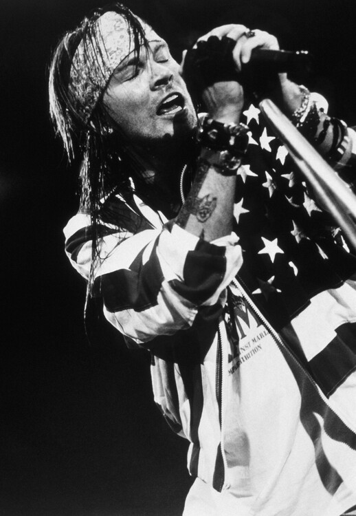 Poster ARCHIVES : ROCK 'N' ROLL HEROES