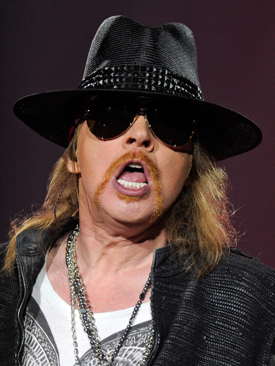 Poster Guns N' Roses And Sebastian Bach