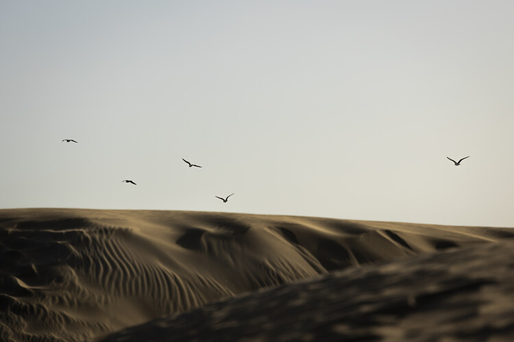 Плакат Dunes