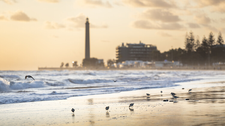 Плакат Gran Canaria sunset