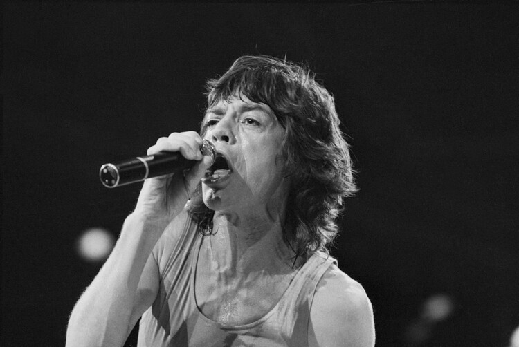 Canvas Print Mick Jagger Singing