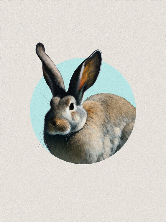 Poster Hare