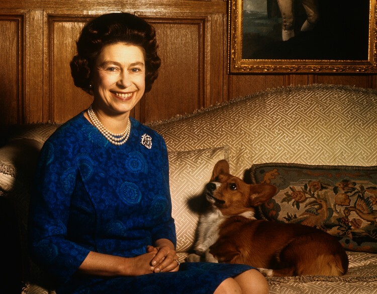 Canvas Print Queen Elizabeth II with Corgi