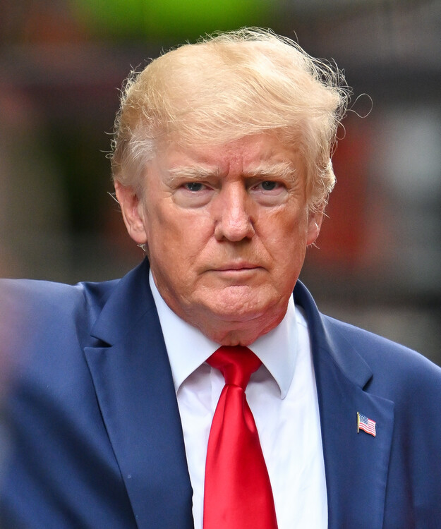 Canvas Print Donald Trump, Celebrity Sightings In New York City