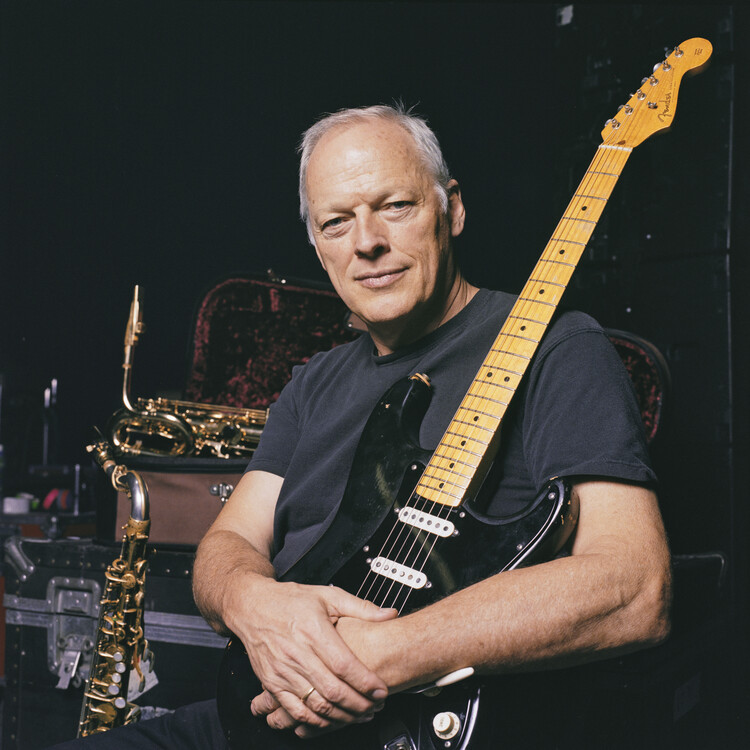 Bild auf Leinwand David Gilmour