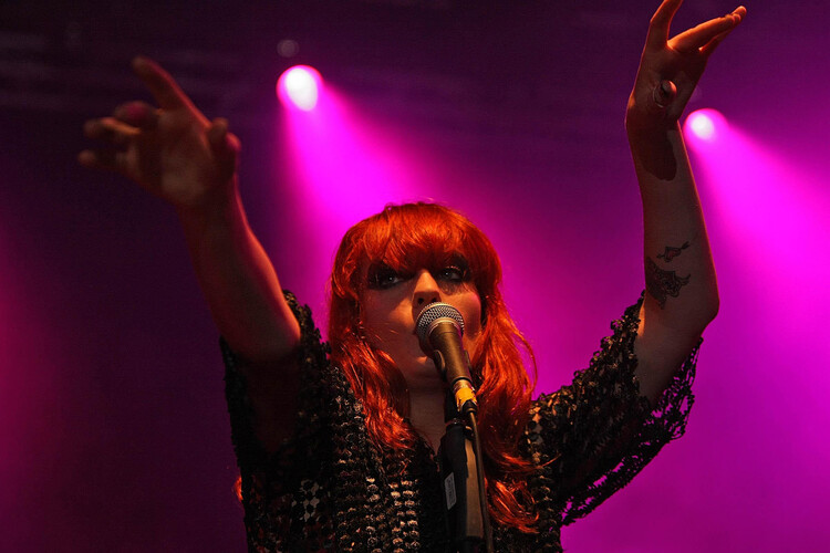 Poster Electric Picnic festival - Ireland