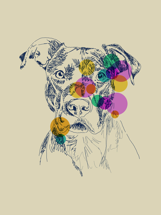Плакат Pitbull