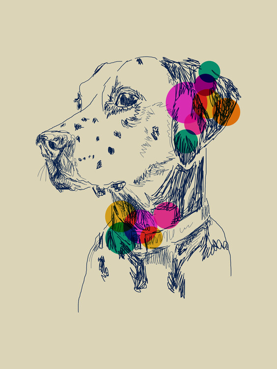 Canvas Print Dalmatien