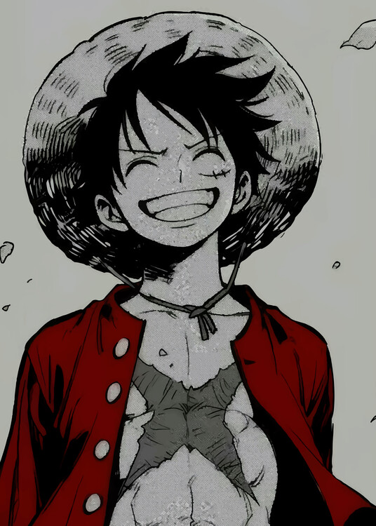 Poster luffy