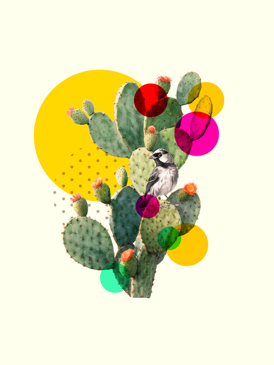 Plagát Color Pop Cactus