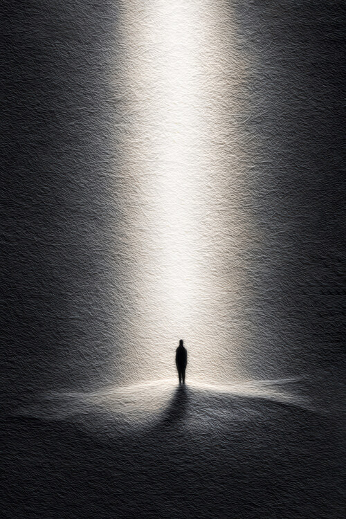 Plakat In to the Light in Black and White