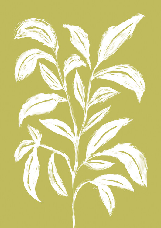 Bild auf Leinwand Lime Plant