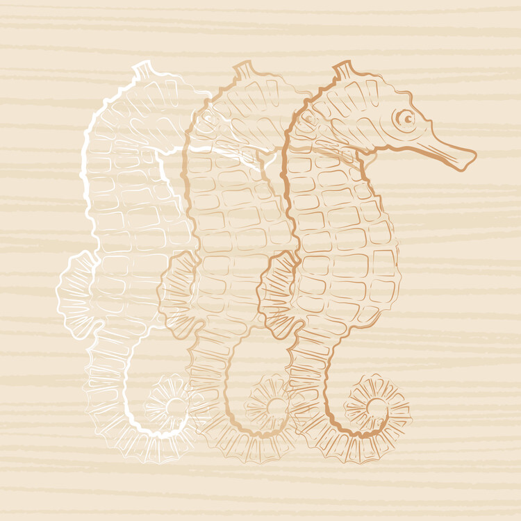 Poster Beige Seahorse
