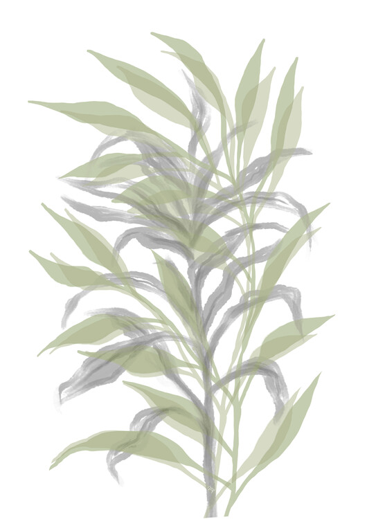Plakát Green bamboo