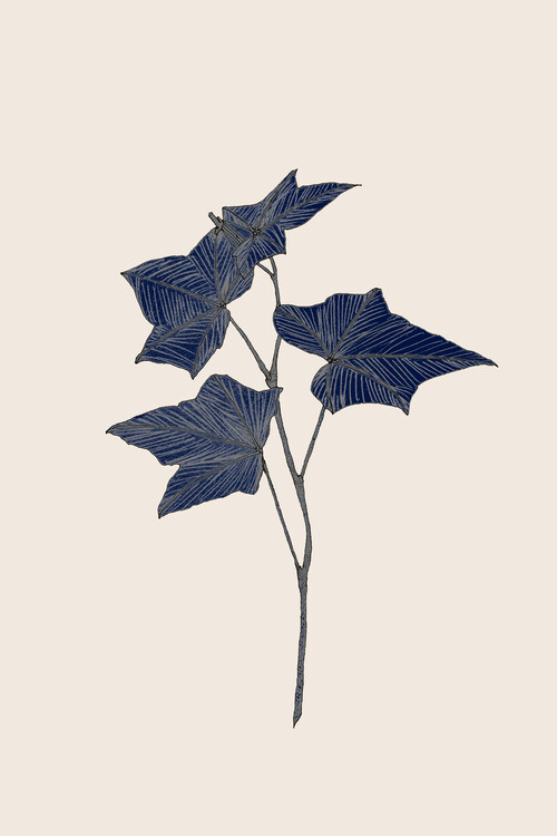 Poster Danushka Abeygoda - Botanical 03