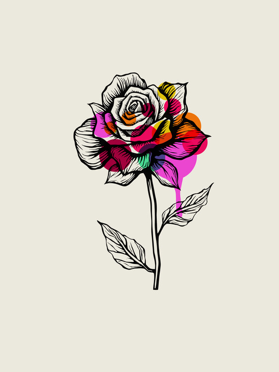 Плакат The Rose