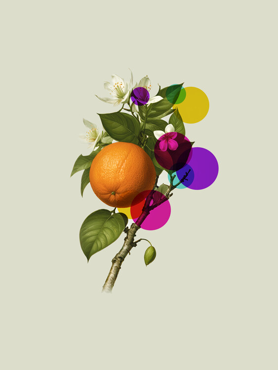 Плакат Oranges Pop Art